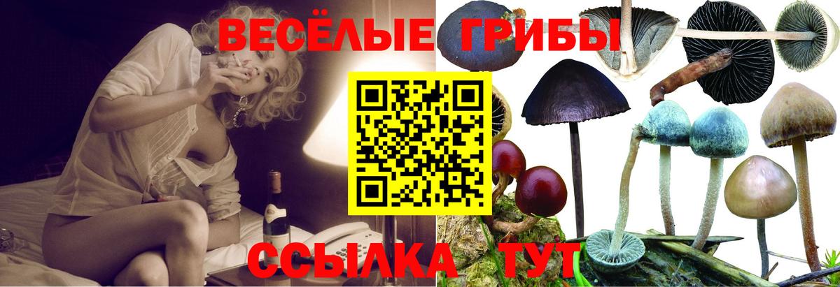 Галлюциногенные грибы ЛСД Тольятти